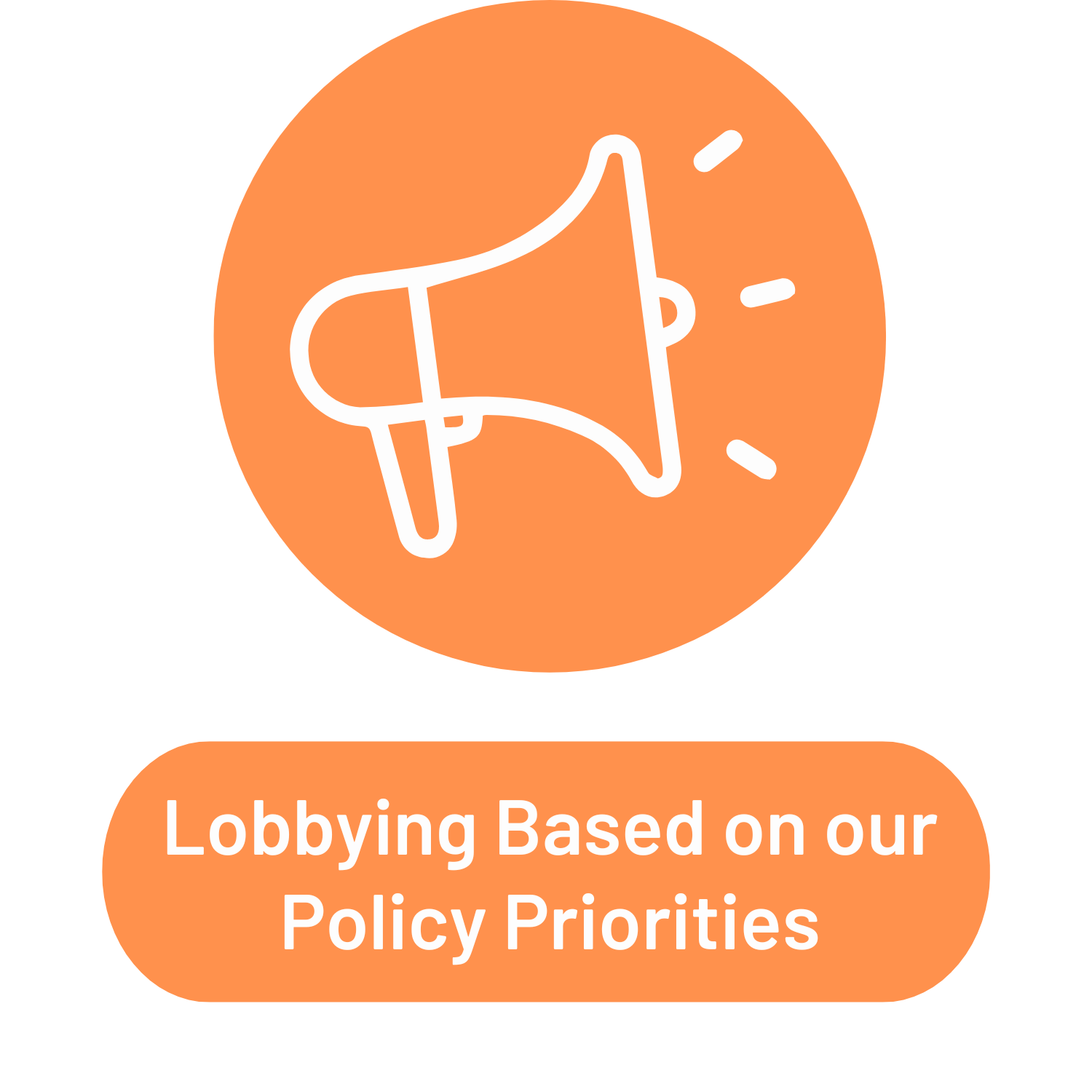 Lobbying Based on our Policy Priorities