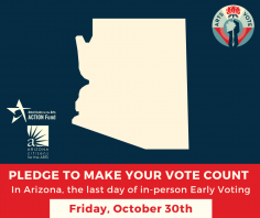 Arizona Early Voting - Navy