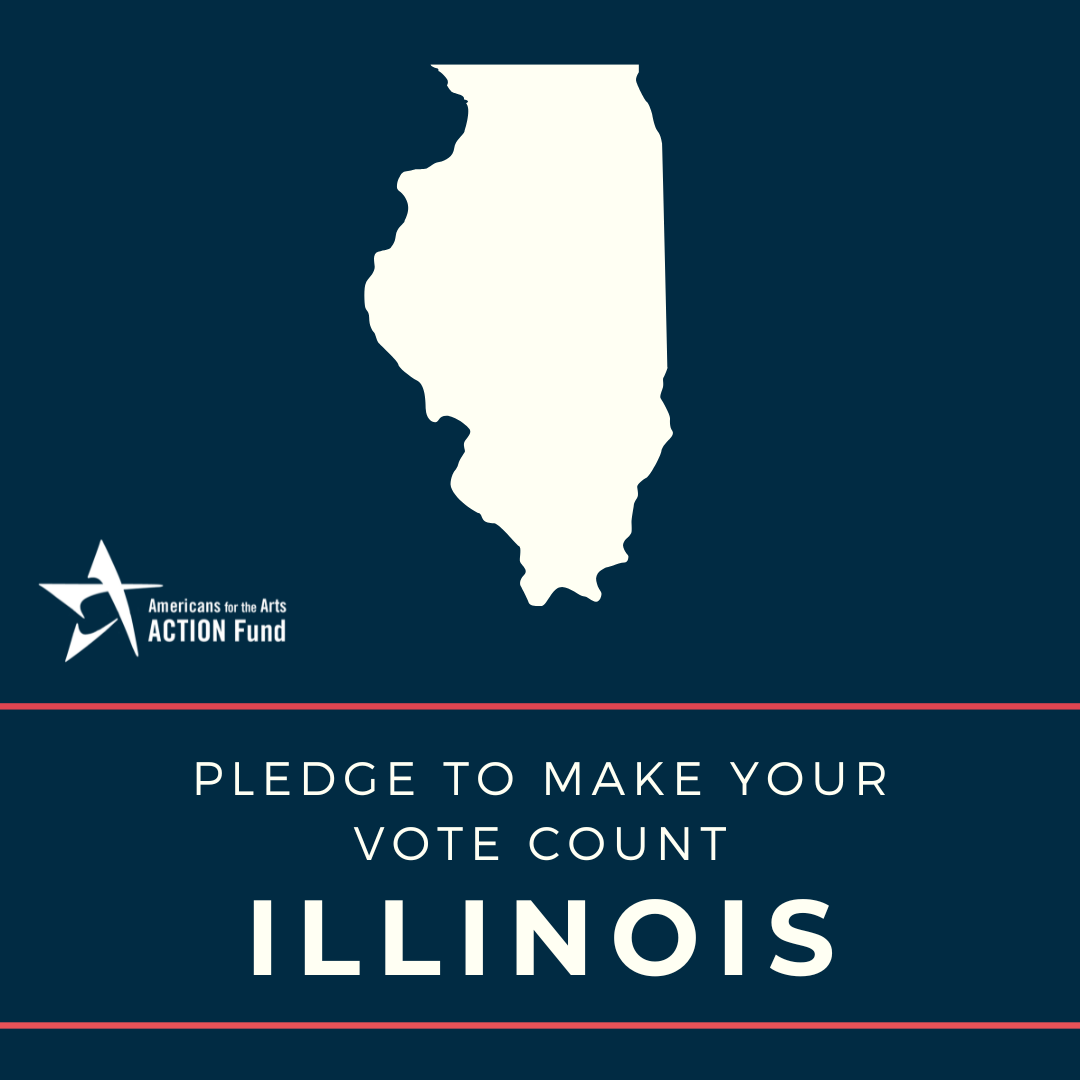 Illinois Voter Graphic
