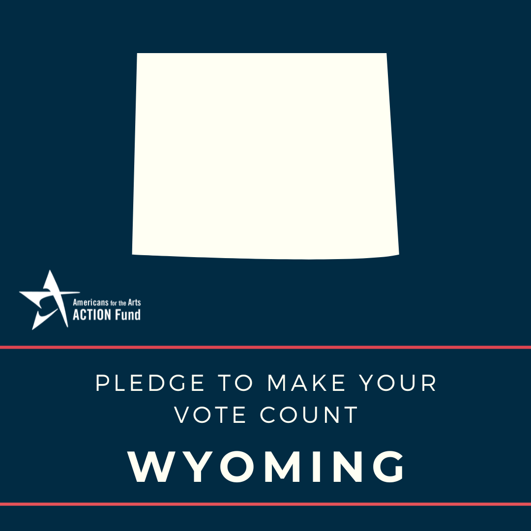 Wyoming Voter Graphic