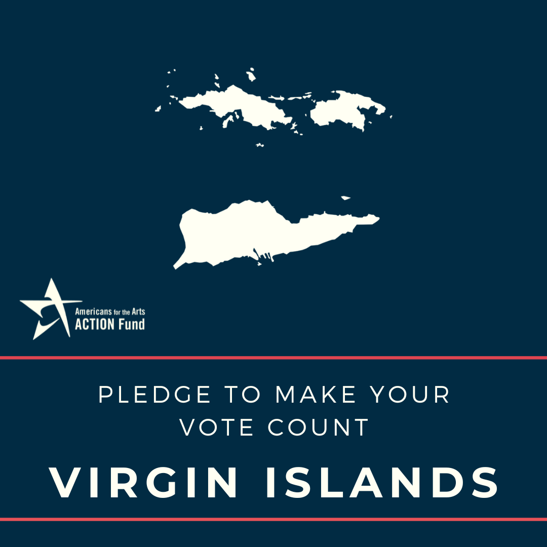 Virgin Islands Voter Graphic