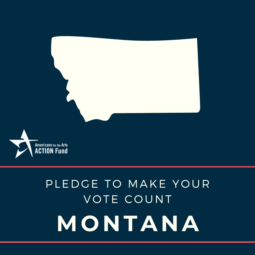 Montana Voter Graphic